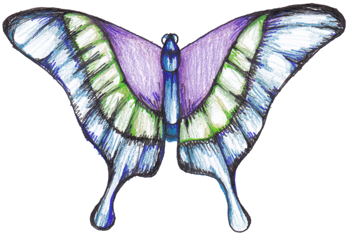 Artwork of a butterfly with wings spread in full color