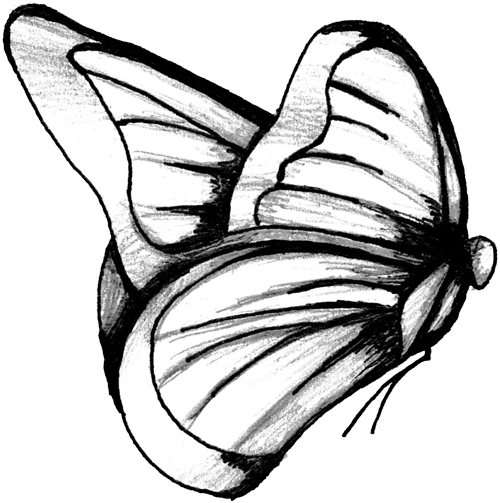 Drawing of a butterfly taking flight in greyscale